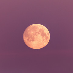 Full moon on pink sky background.