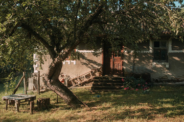 Rural old house with backyard