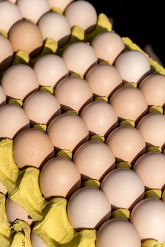 Fresh eggs