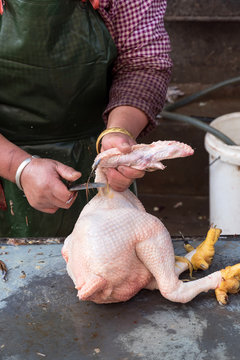 Woman butchering chicken