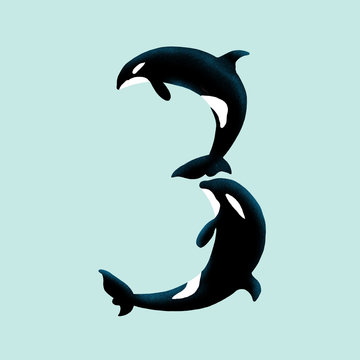 Orca - Three