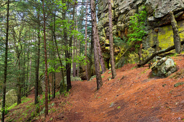 Fototapeta premium Forest trail and butte at castle mound