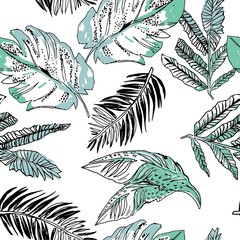 Tropical leaf pattern in line art style with light green color on white background.Sketch tropical background.