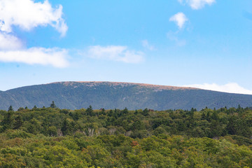 Mount Moosilauke from Long Pond