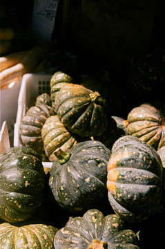 Pumpkin