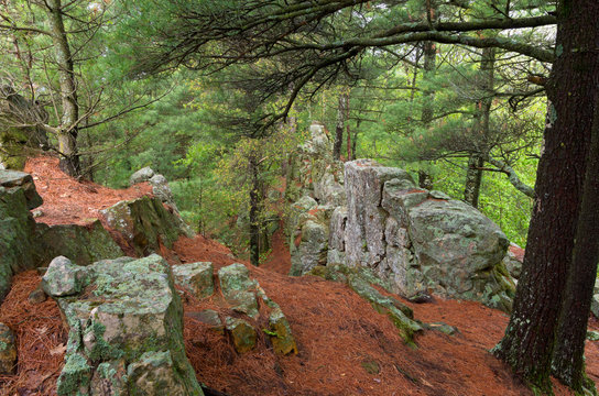 Trail atop bluff at castle mound