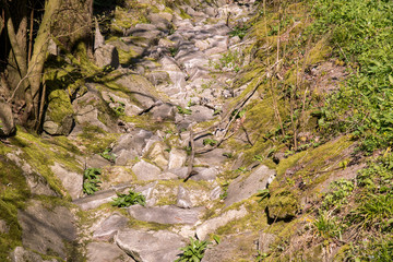 stones covered with moss in a dry stream