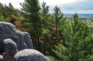 Forest valley overlook at castle mound