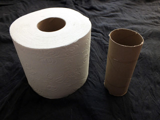 Klopapier toilettenpapier leere rolle