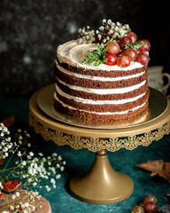 chocolate naked cake decorated with white cream and grapes