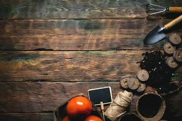 Soil in the flower pots and gardening tools on wooden flat lay background with copy space.