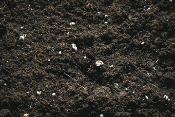 Fertilized garden soil texture background.