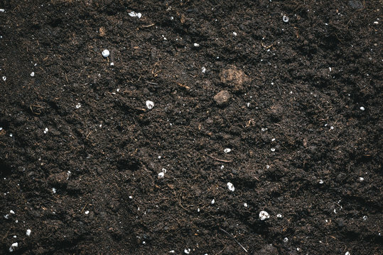 Fertilized garden soil texture background.