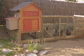 poulailler en bois ,avec ses poules © Patryssia