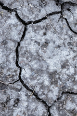 Dry Cracked Dirt Closeup