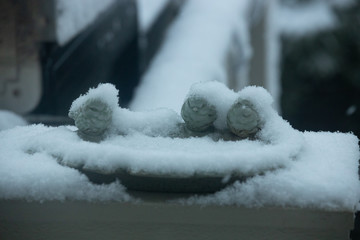 snow covered bird feeder