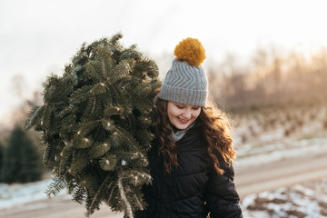 Christmas tree farm