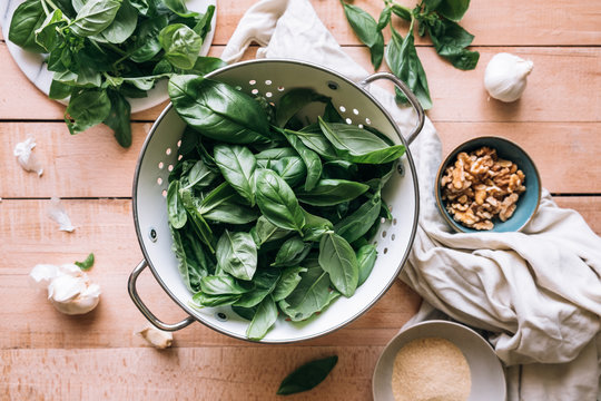 Fresh Ingredients For Pesto