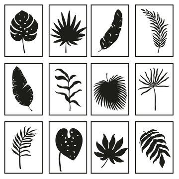 Pattern with tropical leaves in square. Black and white illustration