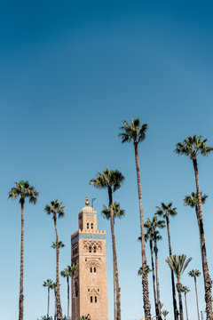 Koutoubia Mosque surrounded by palm trees