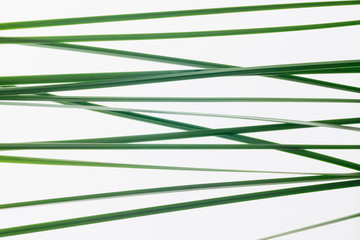 Steel grass abstract