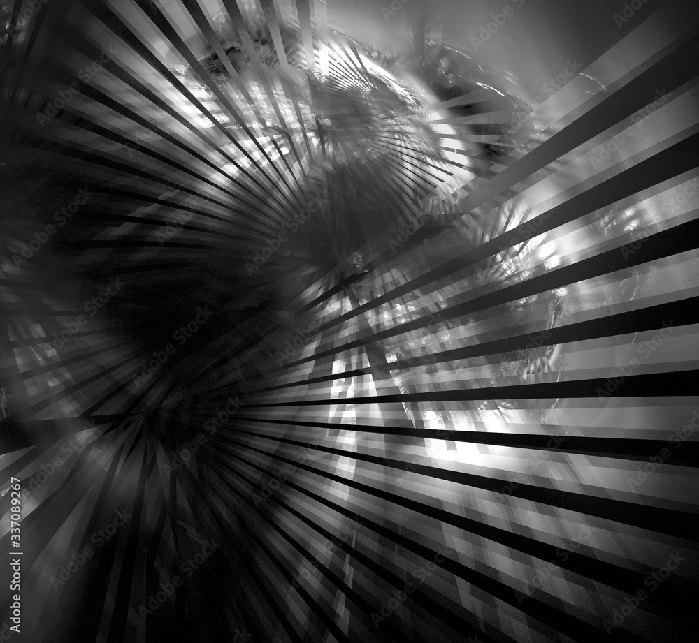 Poster black-white abstract background with rays emanating from several centers. abstract palm leaves throu