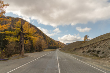 Road in the autumn mountains. Altai, Siberia, Russia. Yellow autumn forest and mountains with clouds.