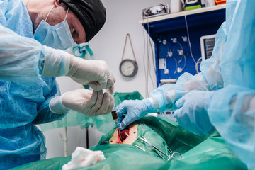 Surgery Of A Dog In A Veterinary Clinic.