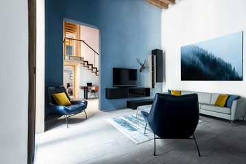 Luxury Contemporary Living Room