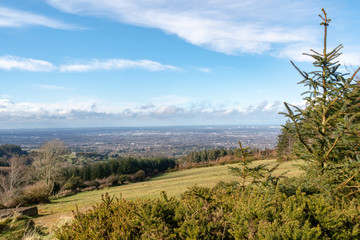 Stunning panoramic view of Dublin city and port from Ticknock, 3rock, Wicklow mountains. Gorse and forest plants in foreground during calm weather