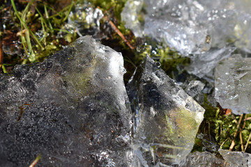 Eisschollen auf Moos
