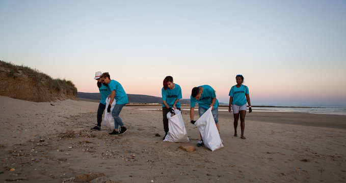 Group of volunteers beach cleaning