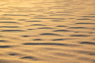 sand ripples on the beach