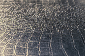Vintage stylish crocodile skin texture