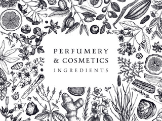 Hand drawn perfumery and cosmetics ingredients banner. Decorative background with vintage aromatic plants, fruits, spices, herbs for perfumery. Organic cosmetics design template. © sketched-graphics