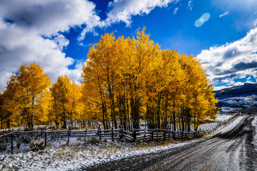 autumn along a dirt road