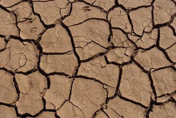 Desert dry and cracked ground, Chad. Africa