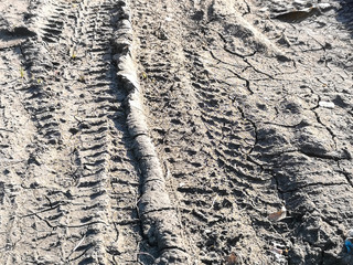 a wheel tracks on gray clay dirt road after rain. old rural road.
