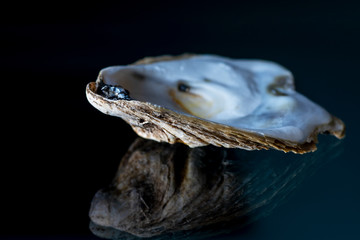 A mother-of-pearl seashell lies on a dark glass surface. Macro. Selective focus.