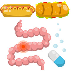 Intestine. Human digestive system. Sick red spot. Medical pill for indigestion. Cartoon flat illustration. Set of objects of hospital. Junk fast food, hot dog, tacos