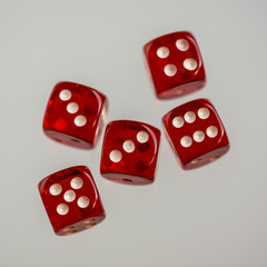 red and white dice