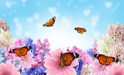 Beautiful blooming flowers and painted lady butterflies