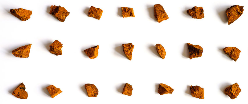 chaga mushroom. broken pieces of birch tree chaga mushroom for brewing natural medicinal antitumor and antiviral detox tea, isolation on white background. regular pattern. banner