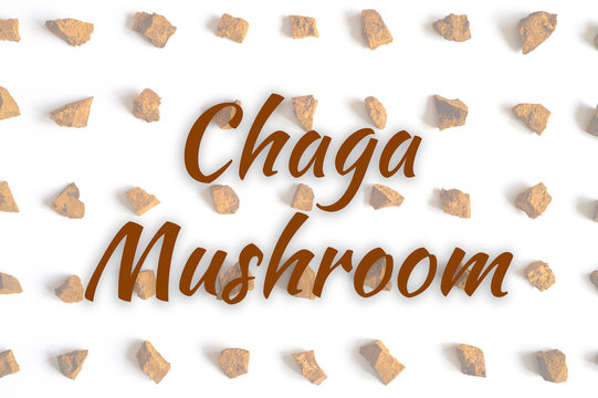 Chaga Mushroom. Broken Pieces Of Birch Tree Chaga Mushroom For Brewing Natural Medicinal Detox Tea, Isolation On White Background. Regular Pattern. Text Ofl Font