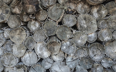 stack of wooden logs