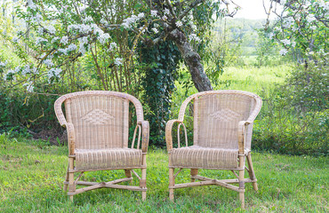 Two empty wicker chairs in the blooming spring garden
