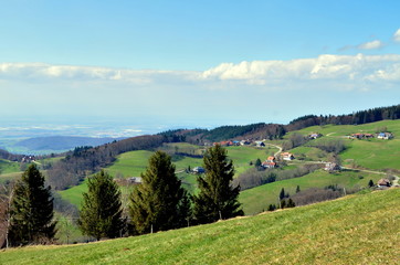Fototapeta na wymiar Frühlingslandschaft auf dem Geiersnest im Schwarzwald