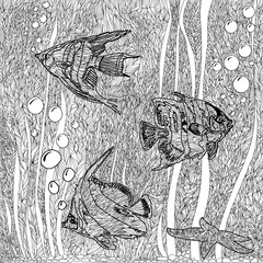 Sea life scuba diving illustration. Page for adult coloring book. The seabed with fish and algae in doodle style. Coloring book page design for adults and kids