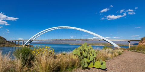 Panorama of Roosevelt Lake Bridge in Spring