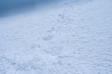 pico orizaba, volcan citlaltepec 